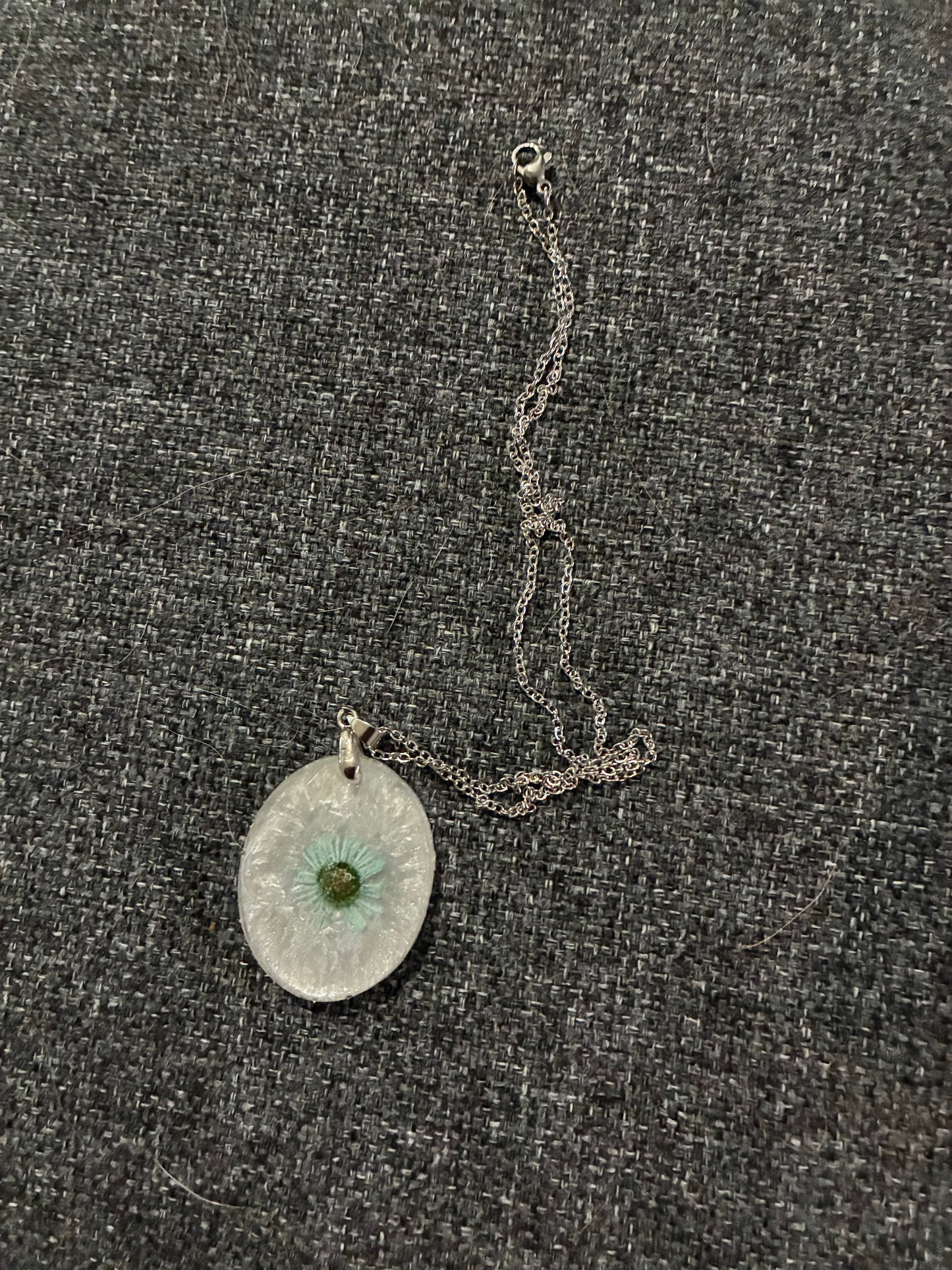 Small blue daisy on pearly white background