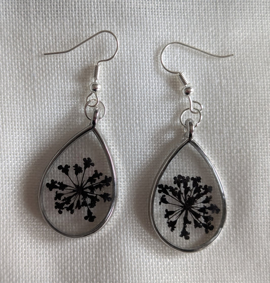 Black Fireworks Flowers