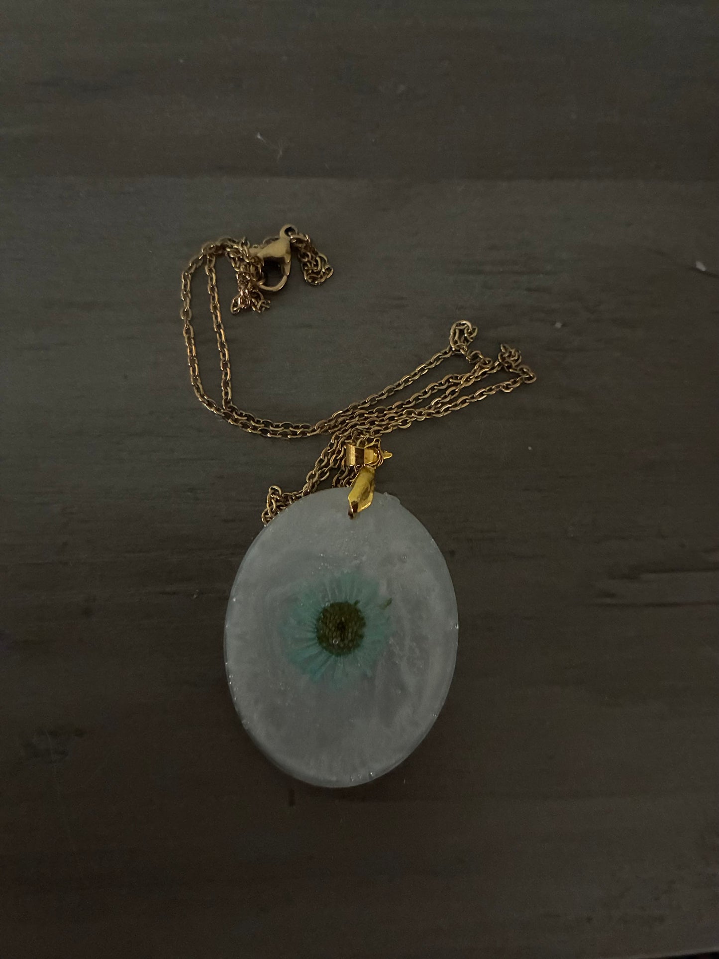 Small blue daisy on pearly white background