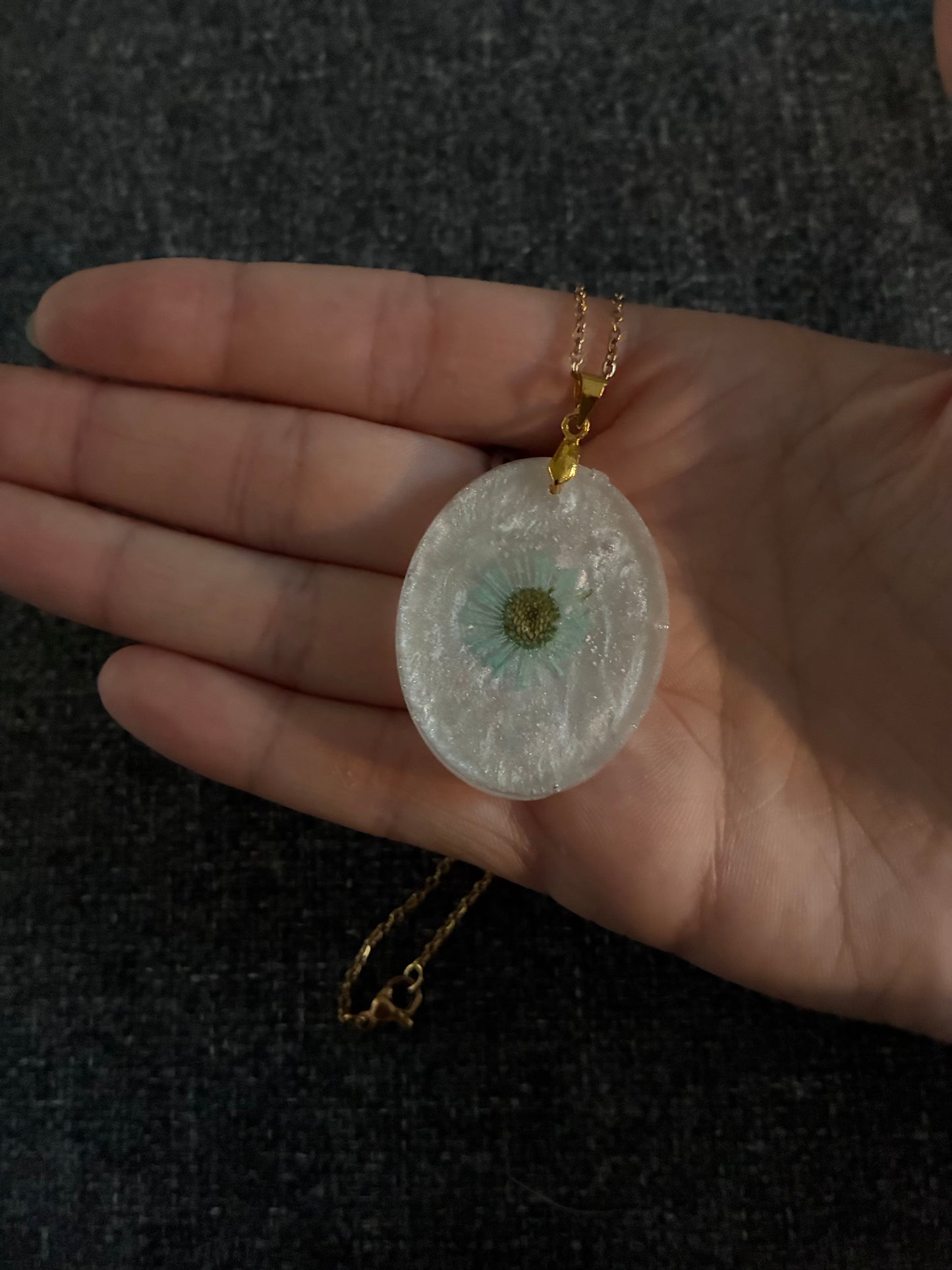 Small blue daisy on pearly white background