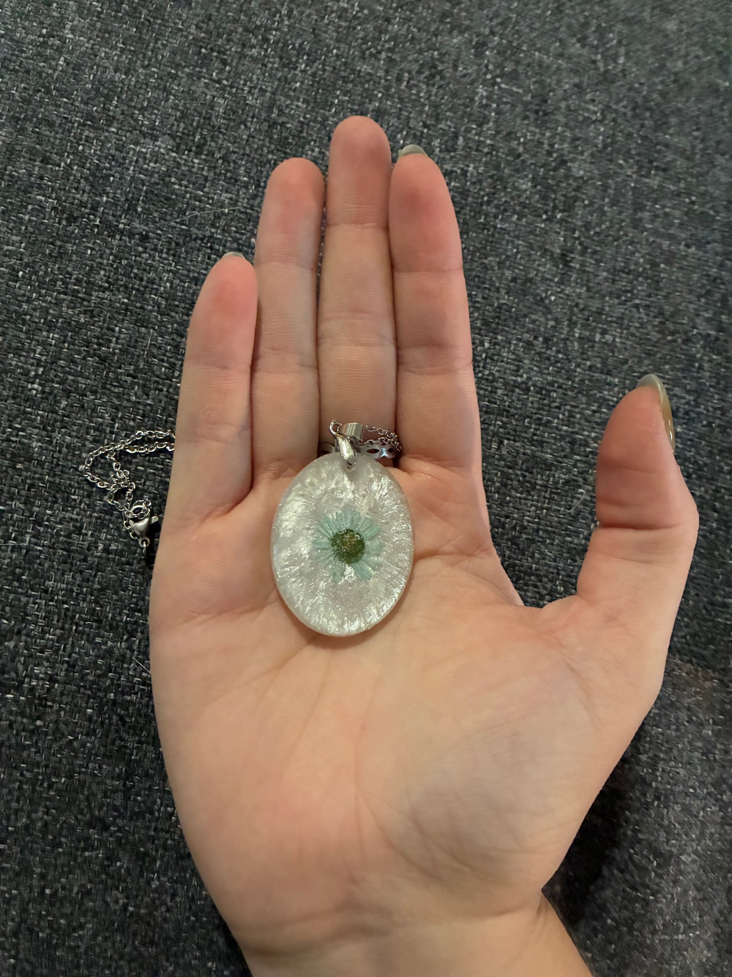 Small blue daisy on pearly white background