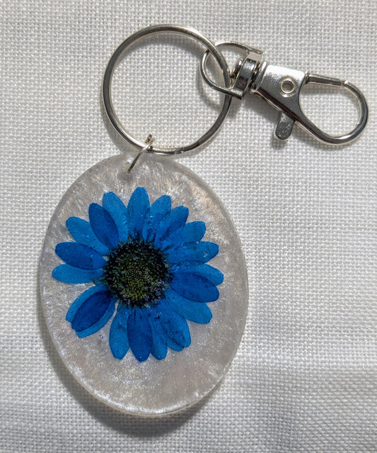 Blue Daisy